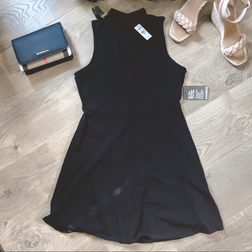 Express Dress - Picture 4 of 4